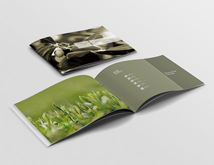 畫冊1
